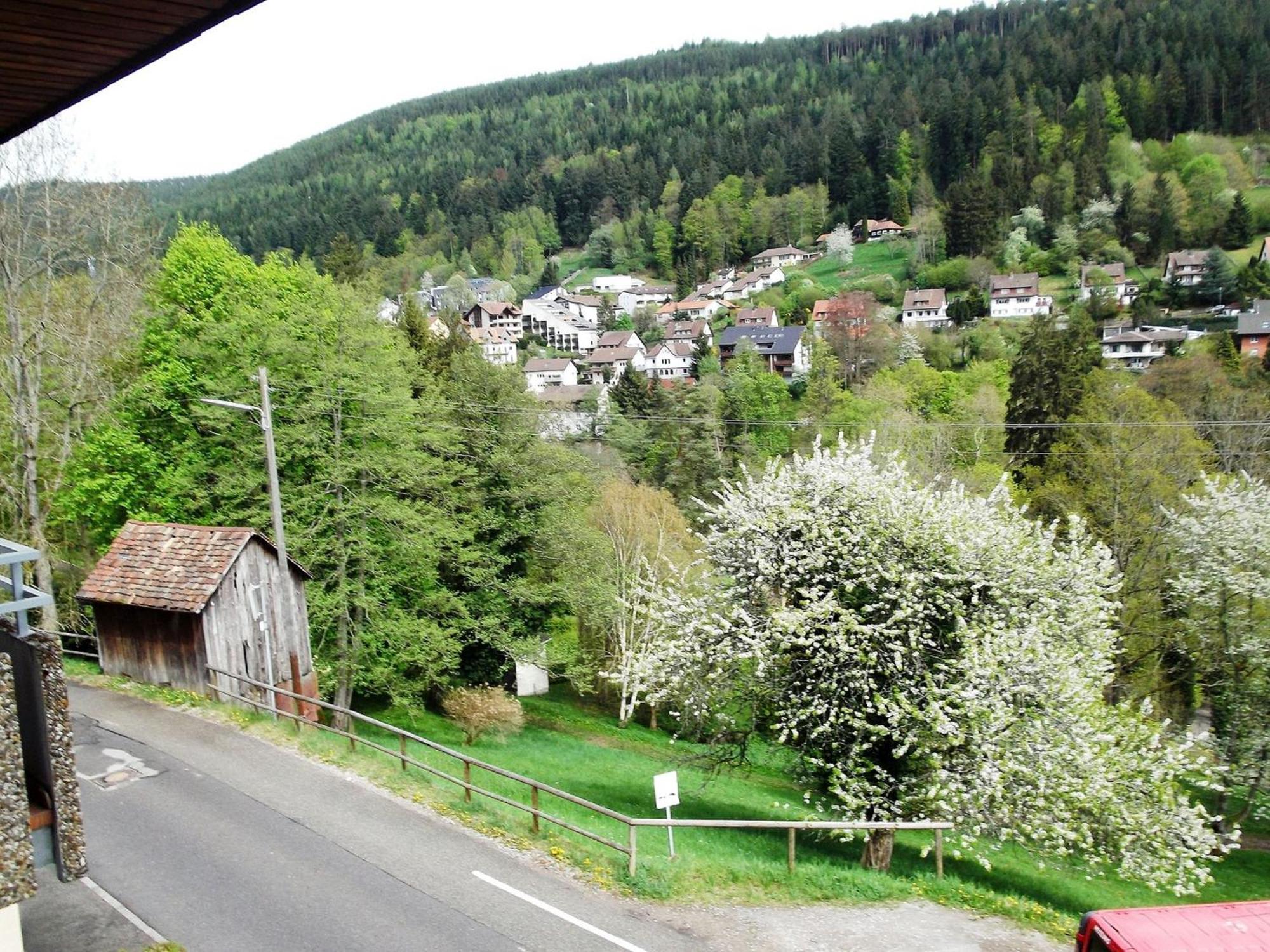 Ferienwohnung Talblick Bad Wildbad Exterior foto